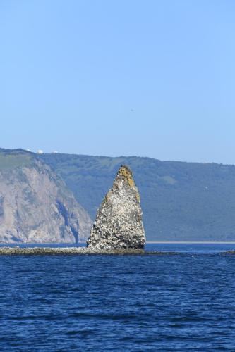 IMG 2797 resize
