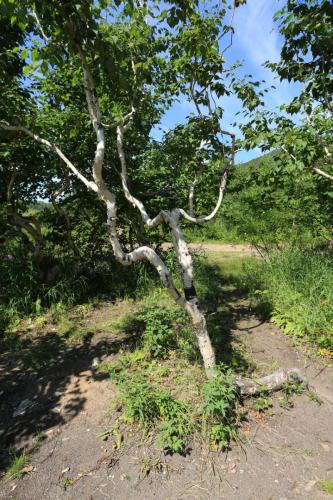 IMG 2027 resize
