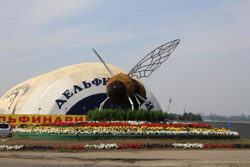 IMG 21199 resize