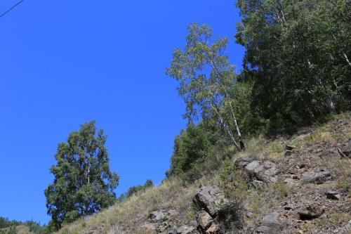 IMG 20814 resize