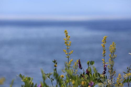 IMG 20870 resize