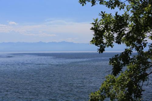 IMG 20888 resize