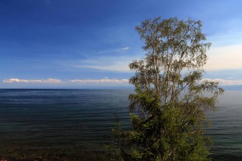 IMG 20954 resize