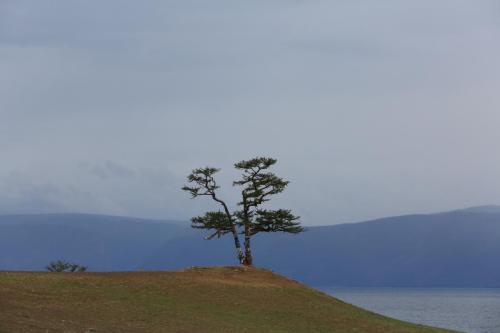 IMG 20500 resize