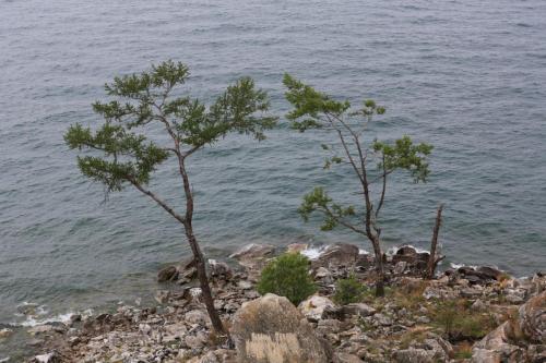 IMG 20550 resize