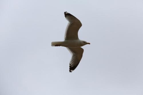 IMG 20625 resize