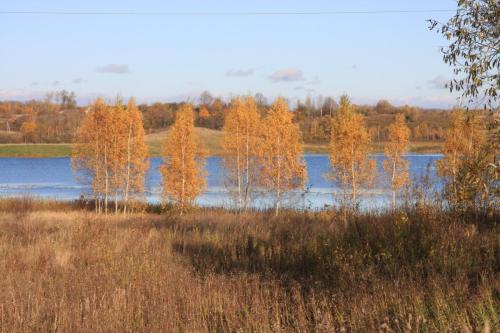 2008_10_21 Velikie Luky