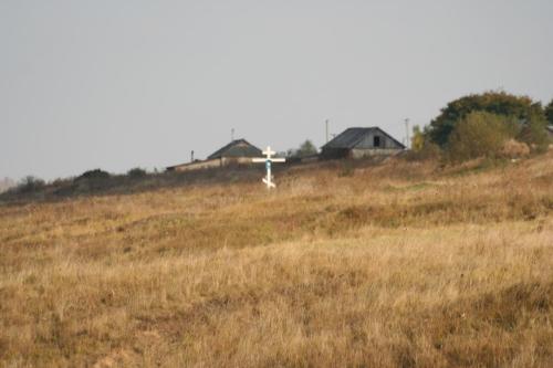 IMG 0751 resize