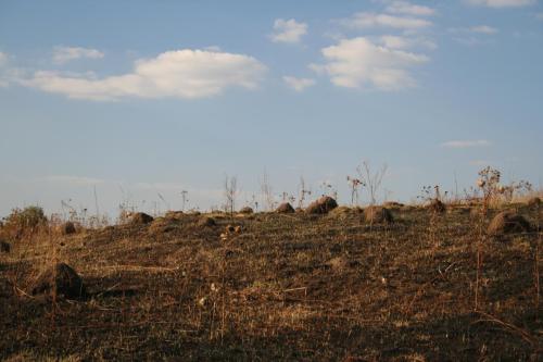 IMG 0755 resize