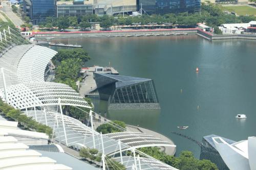 IMG 19960 resize