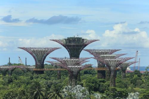 IMG 19990 resize