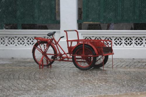 IMG 19579 resize