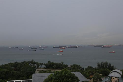 IMG 19608 resize