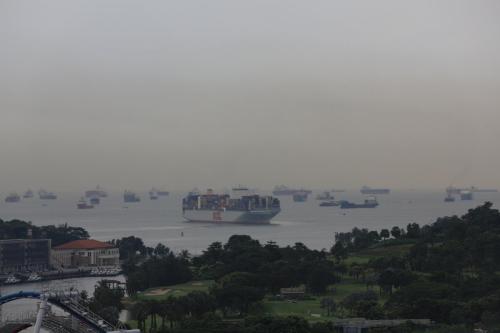 IMG 19621 resize