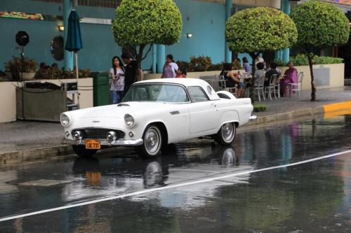 IMG 19675 resize