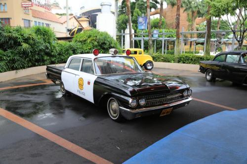 IMG 19696 resize