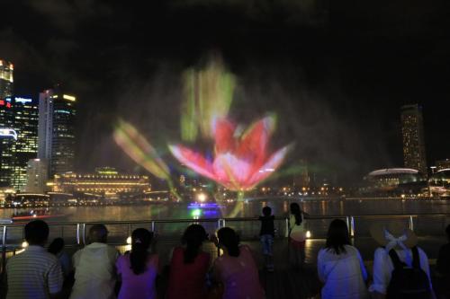 IMG 19479 resize