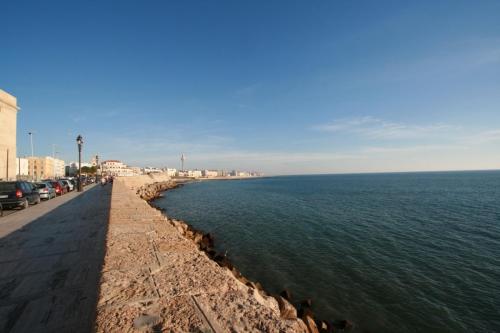 IMG 7860 resize