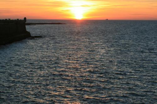 IMG 7977 resize