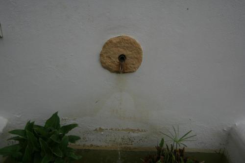 IMG 7228 resize