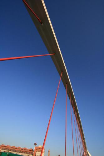 IMG 7417 resize