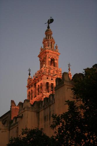 IMG 7493 resize