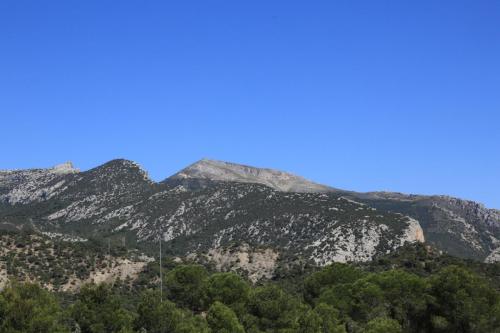 IMG 2014 05 03 15397 resize