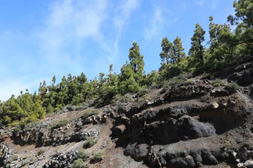 2017_02_22 Teide