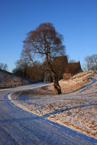 IMG 1183 resize