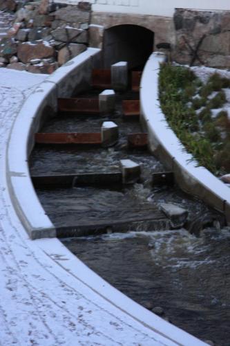 IMG 1236 resize