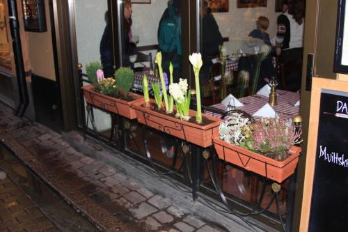 IMG 1093 resize