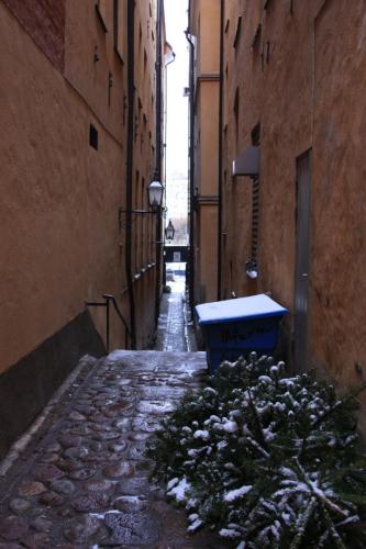 IMG 1096 resize