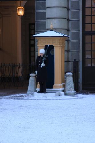 IMG 1154 resize