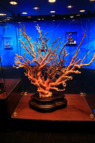 IMG 6508 resize