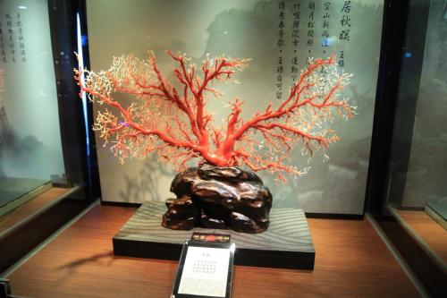 IMG 6524 resize