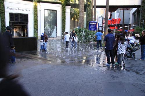 IMG 0406 resize
