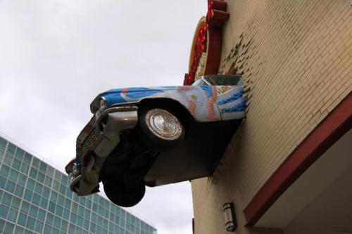 IMG 0401 resize