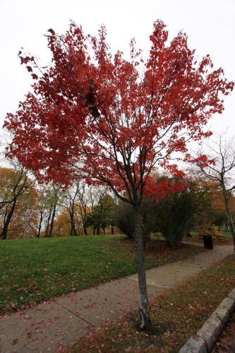 IMG 0135 resize