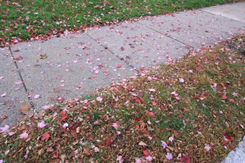 IMG 0136 resize