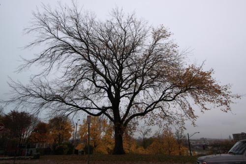 IMG 0143 resize