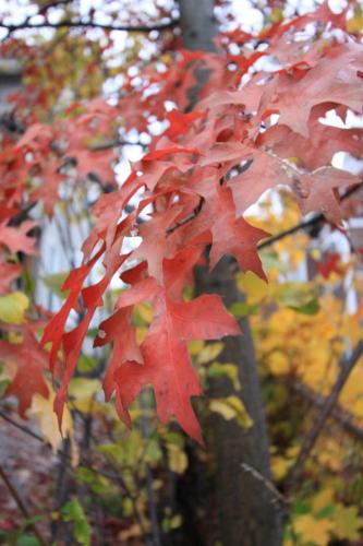 IMG 0149 resize