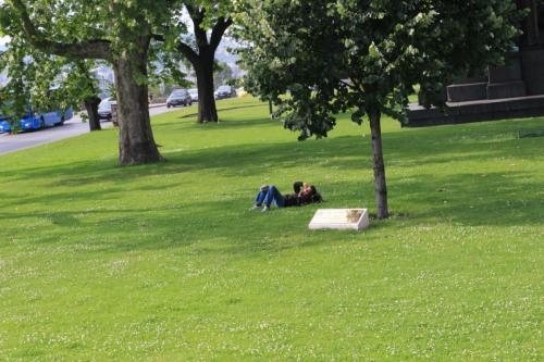 IMG 22528 resize