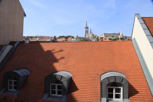 IMG 5251 resize