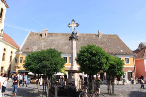 IMG 5406 resize