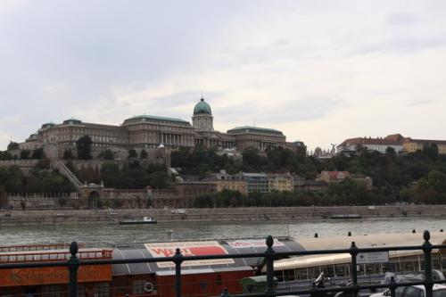 IMG 5223 resize