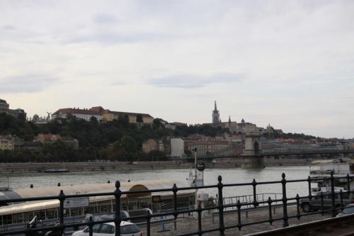 IMG 5224 resize