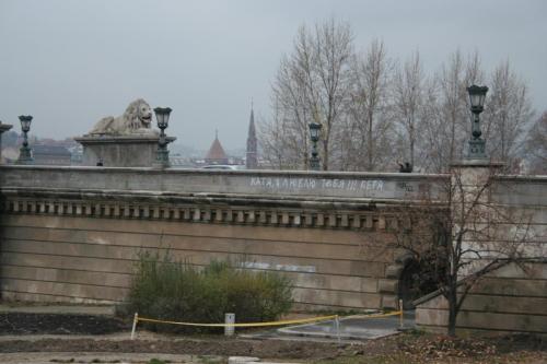 IMG 1641 resize