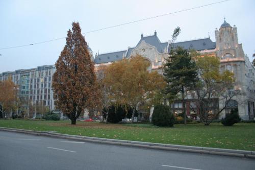 IMG 1642 resize