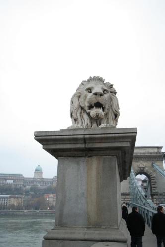 IMG 1672 resize