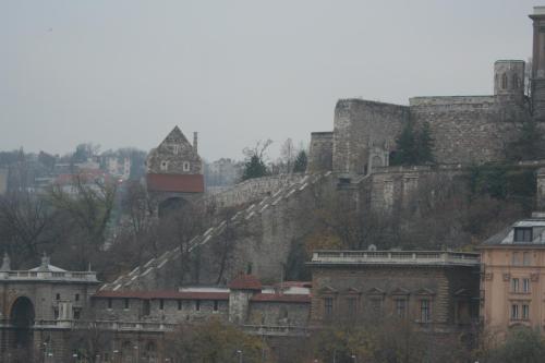 IMG 1698 resize